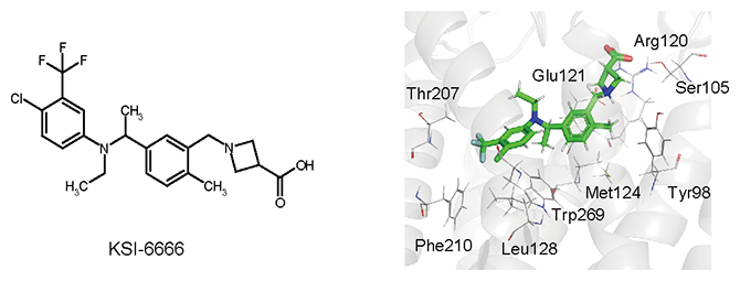薬効が持続する新しい免疫抑制化合物KSI-6666の図