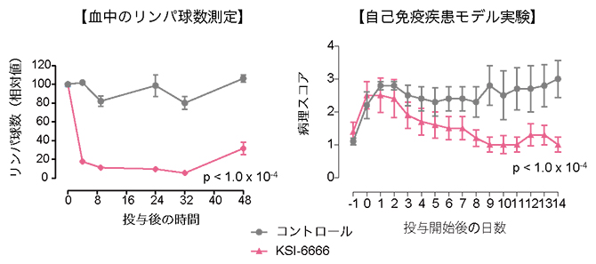 KSI-6666の持続的な薬効と自己免疫疾患の治療成績の図