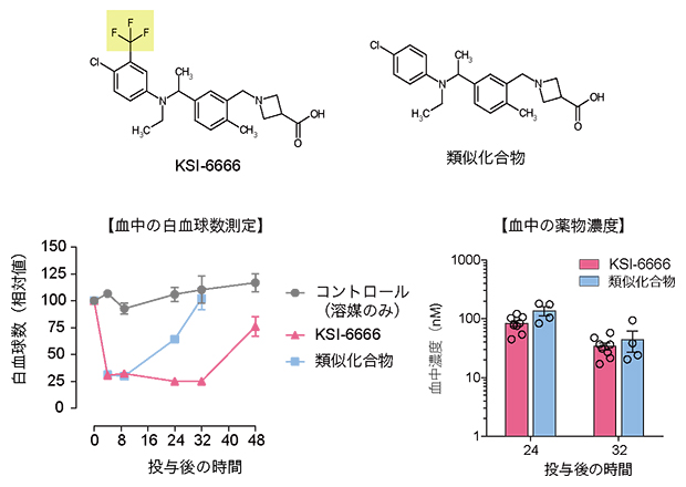 解離の早いKSI-6666類似化合物の薬効の図