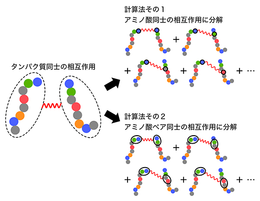タンパク質同士の相互作用の新しい計算法の図