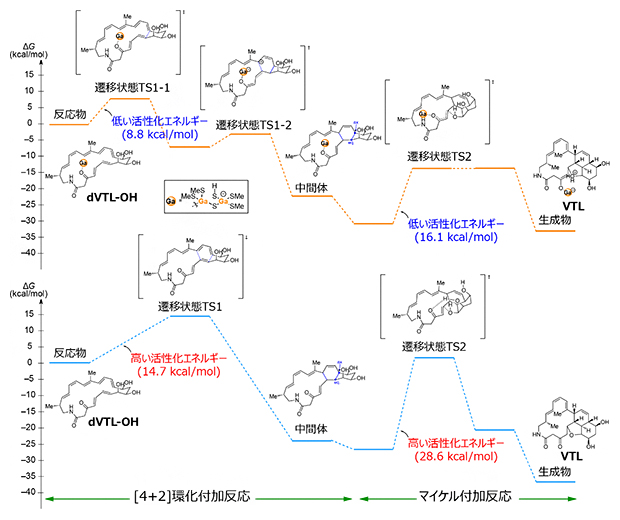 密度汎関数理論計算による反応機構の解明の図