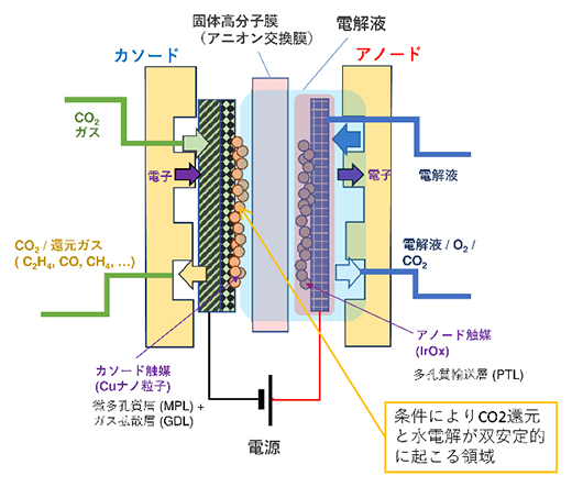 固体高分子膜を用いたゼロギャップ型CO2還元リアクターの断面模式図の画像