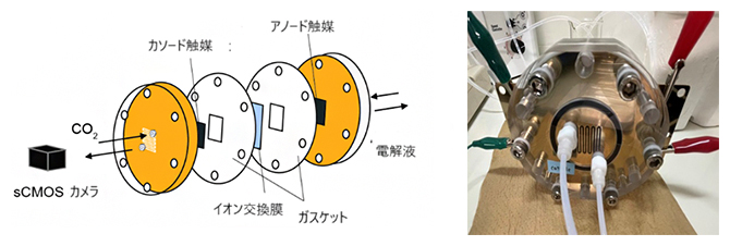 透明の固体電解質膜を使ったゼロギャップ型CO2還元リアクターの図