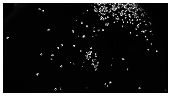 本研究で初めて発見された強誘電性ネマチックによるFebotの群れの図