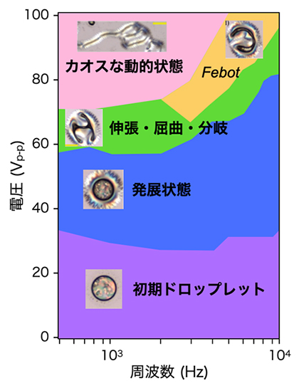 電場によるドロップレットの状態遷移図の図