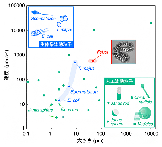 生物学的および人工的な自己駆動粒子群のスケールおよび推進速度の図