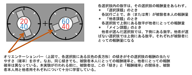 実験の概要の図