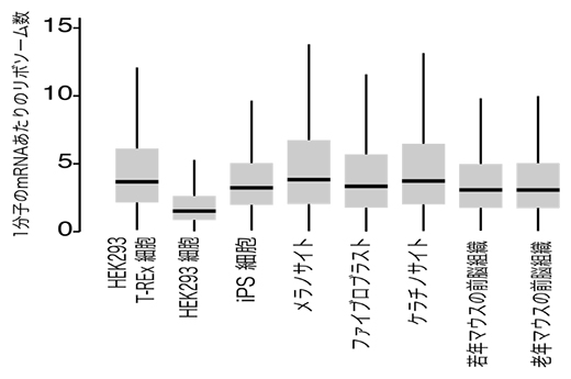 さまざまな細胞種間におけるリボソーム数の多様性の図