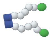 人工的に設計および合成したクモの糸タンパク質MaSp1の模式図の画像