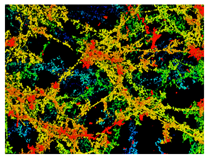 MaSp1の3次元マイクロ繊維ネットワークの図