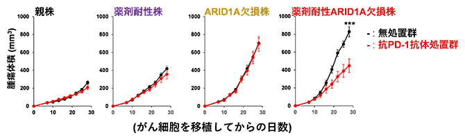 抗PD-1抗体による抗腫瘍効果の4種類の株における比較の図