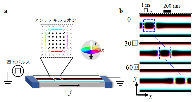 電流駆動アンチスキルミオンの概略図（a）とシミュレーションで得られたパルス運動結果（b）の図