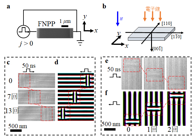 アンチスキルミオンの駆動ダイナミクスの直接観察の図