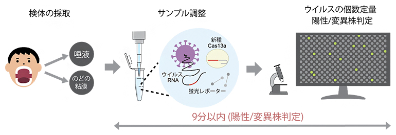 独自のウイルス感染症の世界最速遺伝子検査法（SATORI法）の図