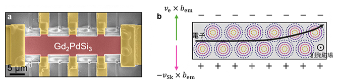 デバイスの電子顕微鏡写真とトポロジカルホール効果の概念図の画像
