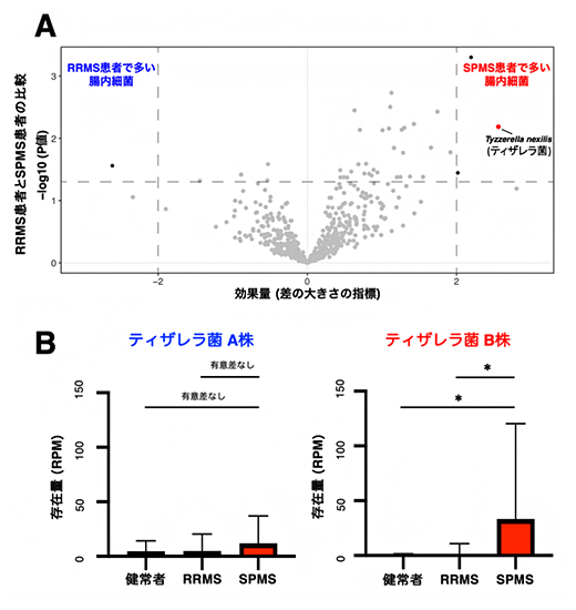 SPMS患者の腸内細菌叢において特徴的な腸内細菌の図