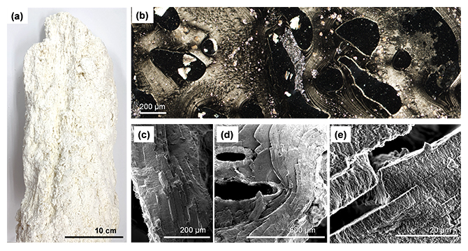 マリアナ海溝から採取した熱水噴出孔サンプルの図