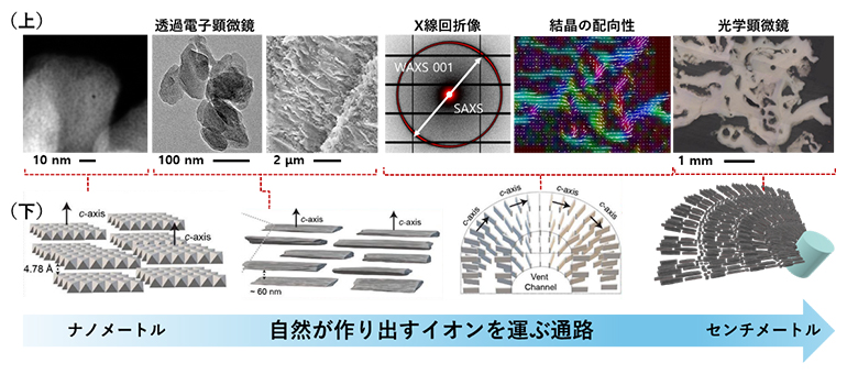 熱水噴出孔サンプルの放射光X線回折計測と回折強度の図の画像