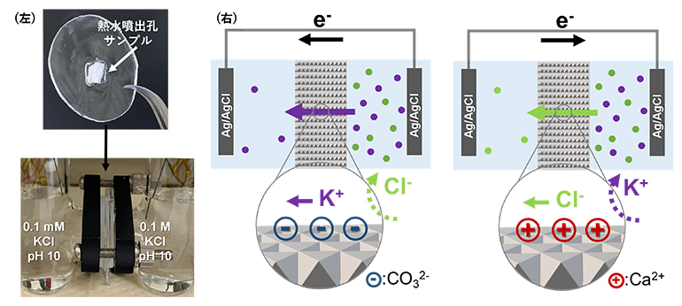 熱水噴出孔サンプルのイオン輸送評価の図