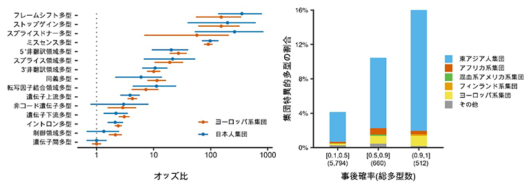 集団間で共通する遺伝的構造と集団特異的遺伝多型の存在の図