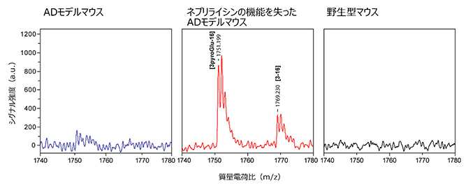 質量分析法を用いたピログルAβの検出の図