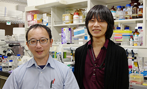 宮道 和成 チームリーダー、鶴谷 雅文 大学院生リサーチ・アソシエイトの写真