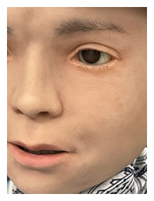 Nikolaのクローズアップ写真の画像