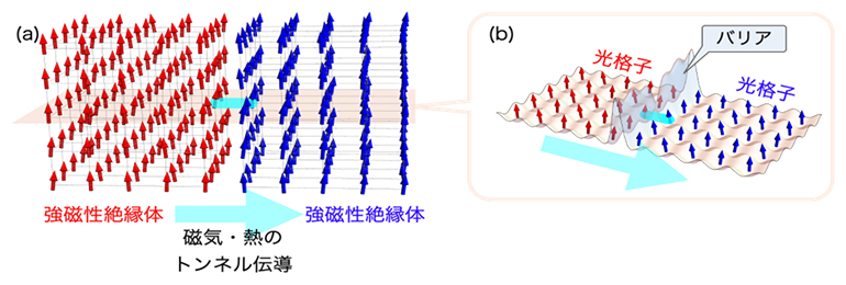 量子シミュレーターの模式図の画像
