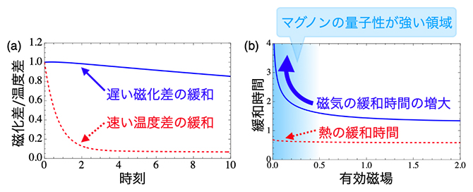 マグノンの量子統計性に由来した持続的な磁気の流れの図
