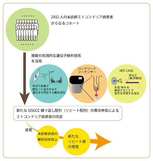 本研究の概要図