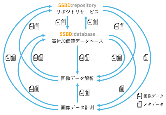 生命科学分野の画像データ共有のエコシステムの図