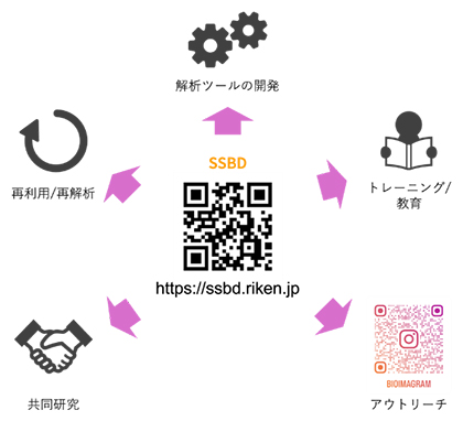 SSBDの活用による恩恵と派生効果の図
