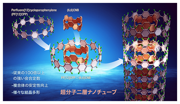 本研究で開発した超分子2層カーボンナノチューブの図