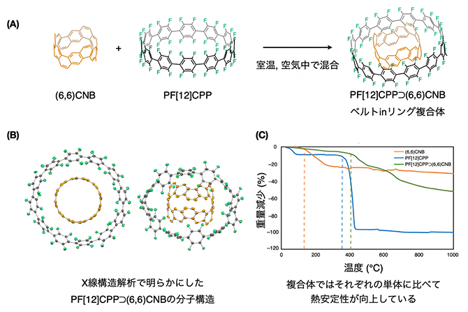 ベルトinリング複合体の図