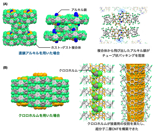 ベルトinリング複合体の結晶構造の図