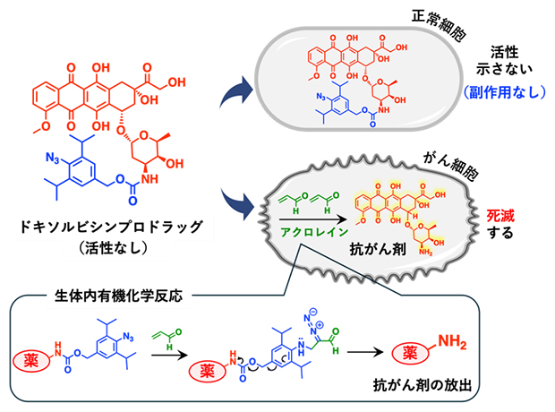 がん細胞選択的に抗がん剤を送達する機構の図