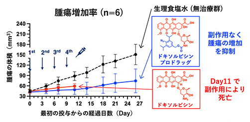 肺がんマウスを用いたドキソルビシンプロドラッグの治療効果実験の図