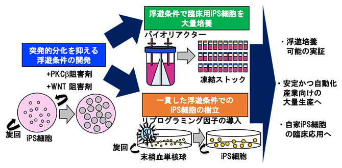 本研究の概要図