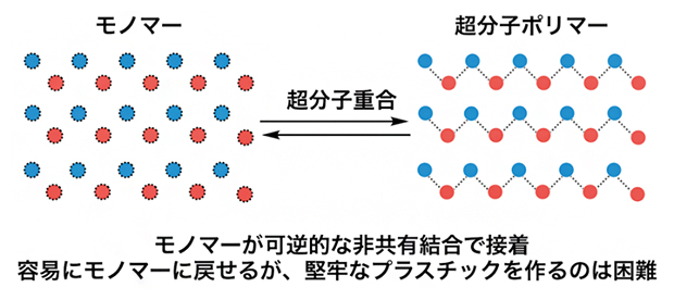 モノマーと超分子ポリマーの概念図の画像