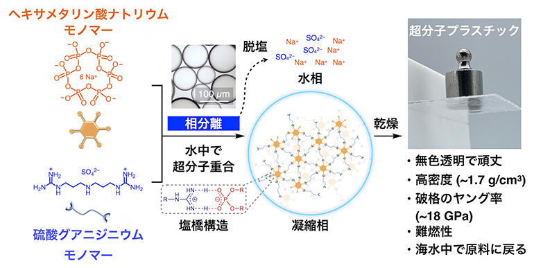 相分離を利用した超分子プラスチックの合成の図