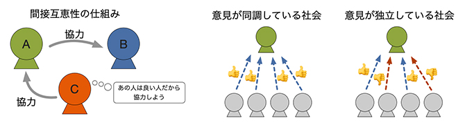 間接互恵性の仕組みと社会の同調の図