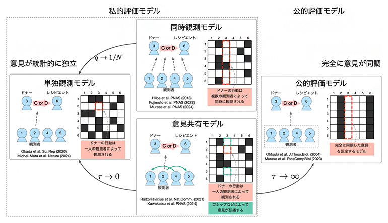 間接互恵性のさまざまな数理モデルの図