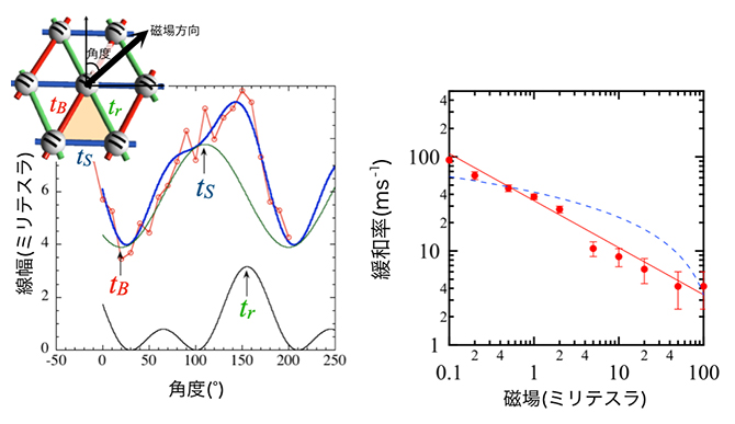 β'-EtMe3Sb[Pd(dmit)2]2のESR線幅およびμSR緩和率の振る舞いの図