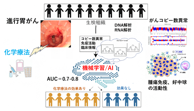 免疫ゲノム情報とAIによる胃がん化学療法の効果予測の図