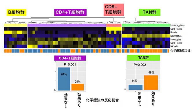 胃がんの免疫分類の図