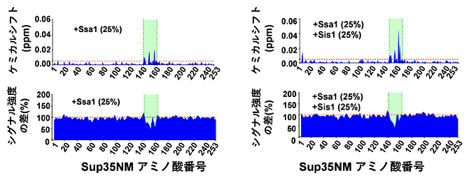 NMRを使ったシャペロンタンパク質のSup35への結合領域の解析の図