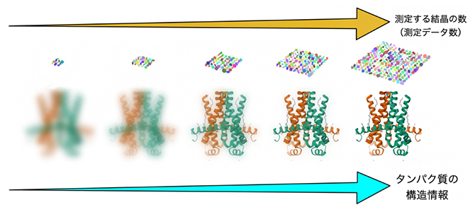 データ統合数の増加により増え続けるタンパク質の構造情報の図