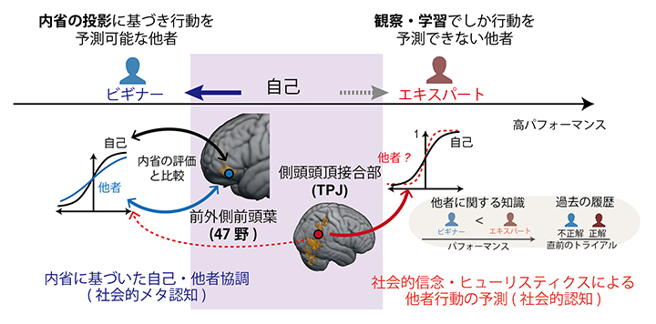 他者の心の状態を推定するための二つの脳の仕組みの図