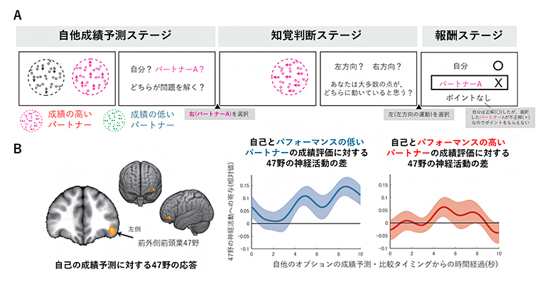 協同的認知課題と47野の社会的メタ認知に対する寄与の図