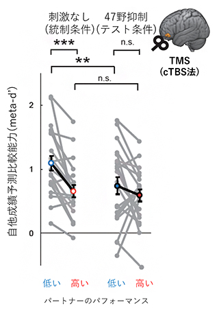 47野の活動抑制の自己とパートナーの成績予測の比較能力への影響の図